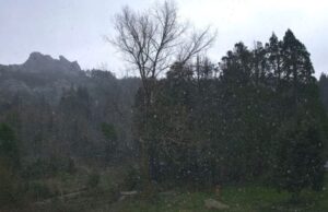 Freddo e forte vento in Sardegna: sul monte Limbara torna anche la neve