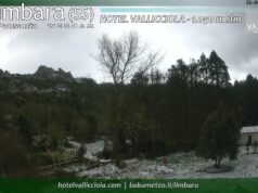Freddo e forte vento in Sardegna: sul monte Limbara torna anche la neve