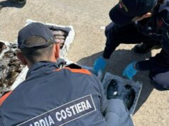 Marina di Oristano, attività illecita di pesca: sequestrati 24Kg di pesce