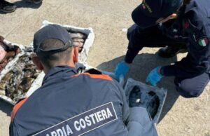 Marina di Oristano, attività illecita di pesca: sequestrati 24Kg di pesce
