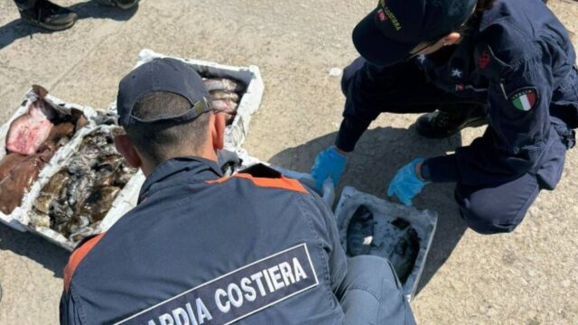 sequestro-pesce-oristano