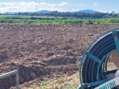 Esercitazioni militari, Sinistra Futura: “Danni alle campagne sarde”