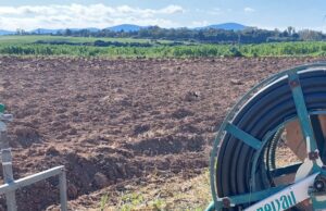 Esercitazioni militari, Sinistra Futura: “Danni alle campagne sarde”