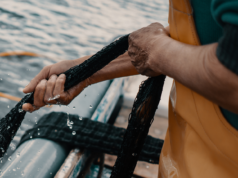 Tonno rosso, aumentano le quote di pesca | Zedda (FdI): “Benefici in Sardegna”