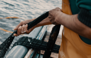 Tonno rosso, aumentano le quote di pesca | Zedda (FdI): “Benefici in Sardegna”