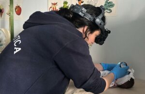 Retinopatia neonatale, stop a lunghi viaggi: si può curare al Policlinico di Monserrato