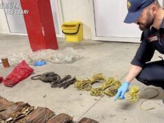 Telti, trovato materiale esplosivo abbandonato: intervento degli artificieri