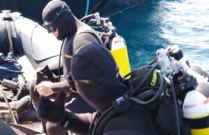 Sant’Antioco, nave in uso all’Ispra alla deriva: intervento per liberare le eliche