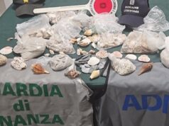 Alghero, sequestrati 6 kg di sabbia e conchiglie in aeroporto