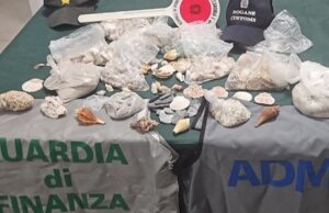 Alghero, sequestrati 6 kg di sabbia e conchiglie in aeroporto