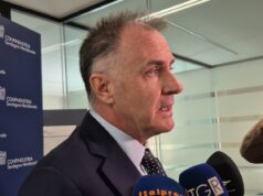Energia, Orsini: “Sardegna strategica per le rinnovabili in Italia”