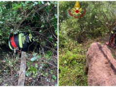 Asinelli precipitati in un dirupo a Tonara, salvati dai Vigili del fuoco