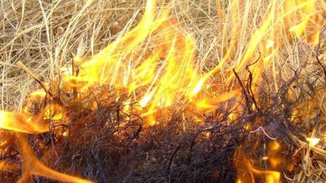 incendio-fiamme-rogo