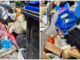 Cagliari, cumuli di rifiuti in via Premuda: “Ormai è una discarica” | Video