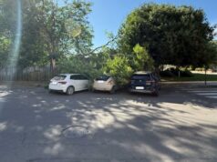 Cagliari, albero crolla per il vento: danneggiate tre auto in sosta