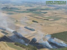 Incendio nelle campagne di San Gavino, in azione anche un elicottero