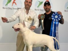 Tito, il cucciolo sardo vince a Bologna: è Campione del Mondo Juniores