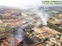 Assemini, grosso incendio vicino al centro sportivo del Cagliari