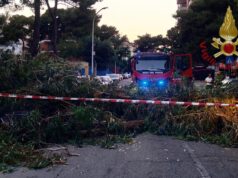 Cagliari, crolla un albero sulla strada: coinvolte due auto, una donna ferita