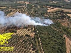 Villacidro, incendio nella zona di Sa Mandara: in azione due elicotteri