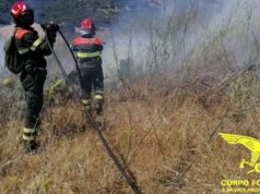 Incendi nel Cagliaritano, piromane fermato mentre appicca il fuoco