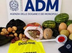 Porto Torres, sbarca con 60kg di prodotti vegetali senza etichettatura: sequestrati