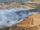 Caldo record e incendi, si alza l’allerta in tutta la Sardegna