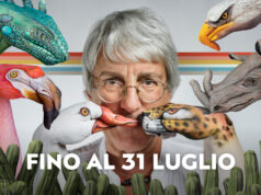 Fass Shopping Centre accoglie Manimali di Guido Daniele: l’arte che emoziona, coinvolge e invita a proteggere la natura