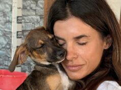 Elisabetta Canalis torna al canile di Olbia: “Il mio rifugio del cuore, adottate”
