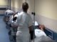 West Nile, terzo caso in provincia di Oristano nel 2026
