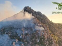 Incendio a Loceri, fiamme all’alba sul monte: intervento difficile per gli operatori