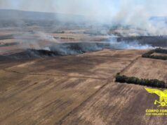 Guspini, vasto incendio: in azione tre elicotteri e un Canadair