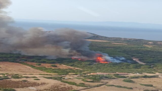incendio-aglientu