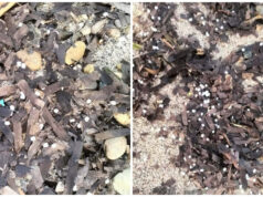 Microplastiche al Poetto, Mura presenta un’interrogazione urgente al sindaco