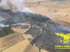 Incendi in Sardegna, altra giornata di lotta | Video