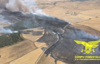 Incendi in Sardegna, altra giornata di lotta | Video