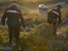 Pimentel, scoperta una piantagione illegale di cannabis: caccia ai responsabili