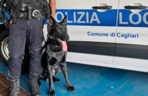 Polizia Locale di Cagliari, ecco Victor: il nuovo cane antidroga sfida il degrado