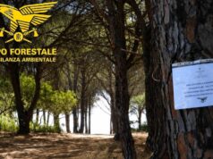Orosei, troppi veicoli nell’area: sequestrata la pineta di Su Barone