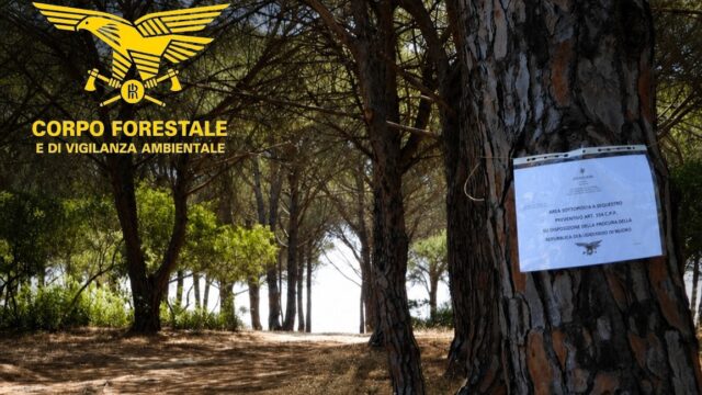 Pineta su Barone Orosei (1)