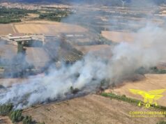 Incendi in Sardegna, nuova ondata: cinque roghi in poche ore