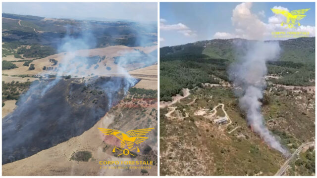 Incendi di Ferragosto