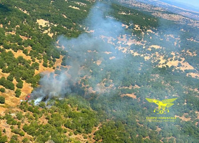 Incendio Nuoro (5)