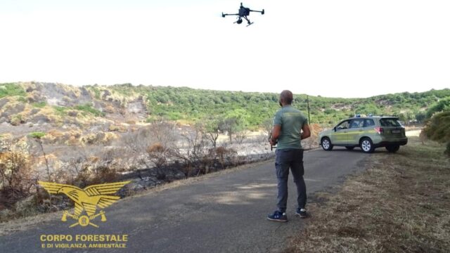 Drone Forestale