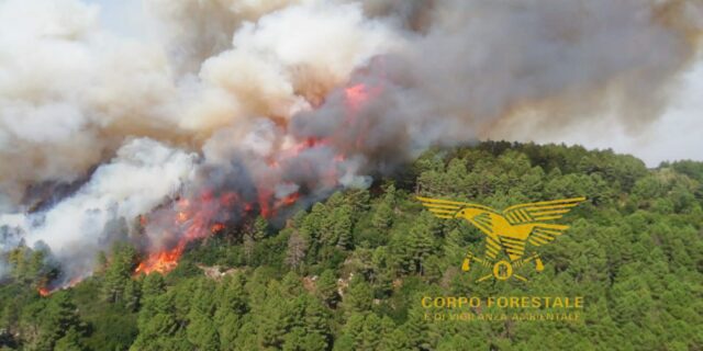 Incendio Arzana (2)