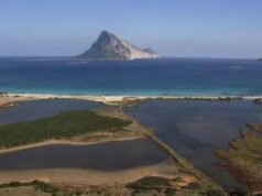 Porto Taverna, numerosi pesci morti all’interno dello stagno: scatta l’allarme