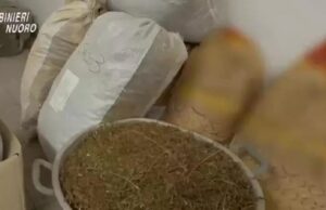Orotelli, in casa nascondeva 200Kg di marijuana: 50enne in manette