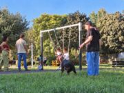 Cagliari, grossi cani senza museruola nell’area giochi del Parco della Musica