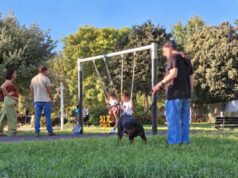 Cagliari, grossi cani senza museruola nell’area giochi del Parco della Musica