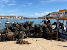 Castelsardo, fondali puliti: recuperate 50 nasse e 150 chili di plastica